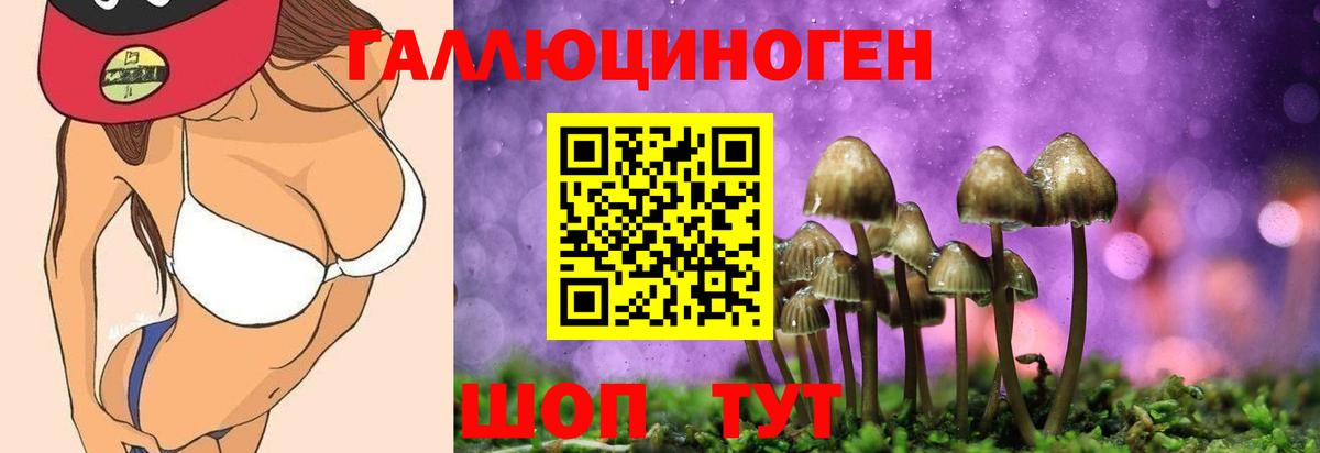 Галлюциногенные грибы MAGIC MUSHROOMS Верхний Уфалей